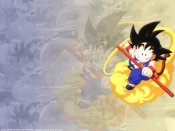 gohan